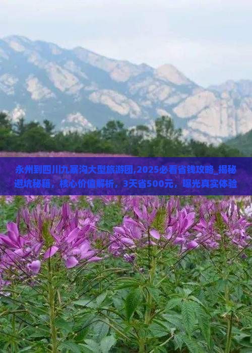 永州到四川九寨沟大型旅游团 永州到四川九寨沟大型旅游团