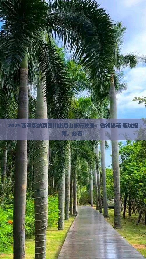西双版纳到四川峨眉山旅行社