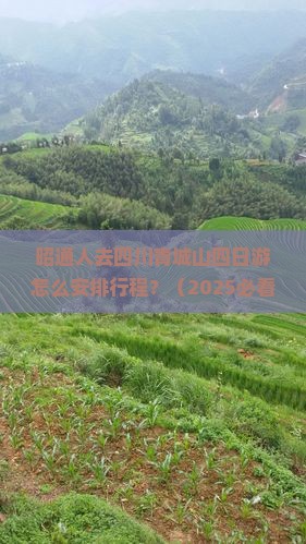 昭通去四川青城山四日游