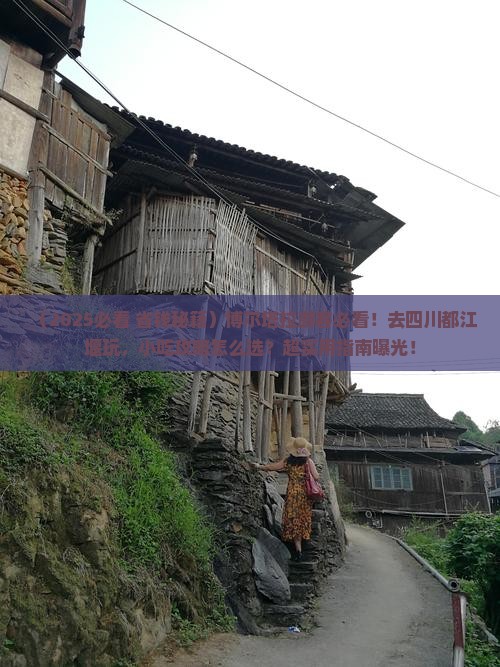 博尔塔拉到四川都江堰旅游小吃