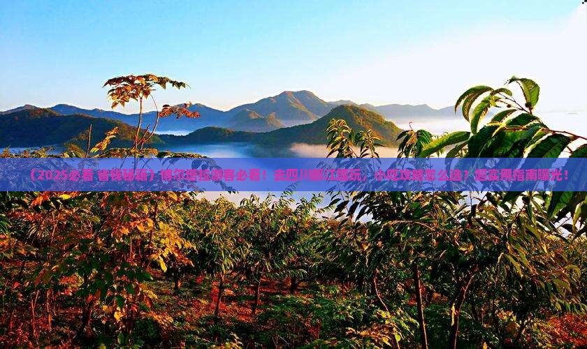 博尔塔拉到四川都江堰旅游小吃