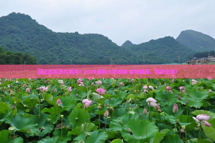延边去四川九寨沟旅游小吃