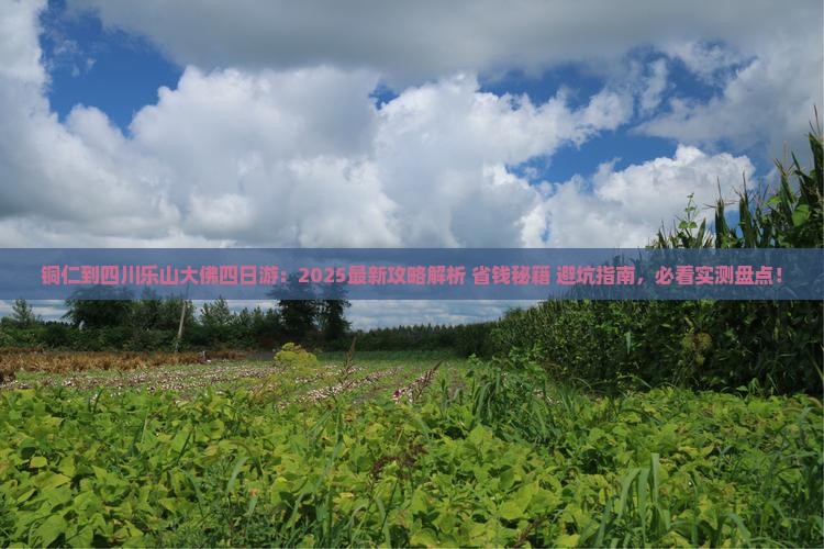 铜仁到四川乐山大佛四日游