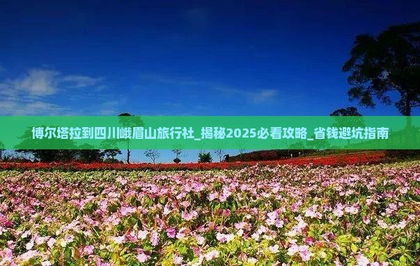 博尔塔拉到四川峨眉山旅行社
