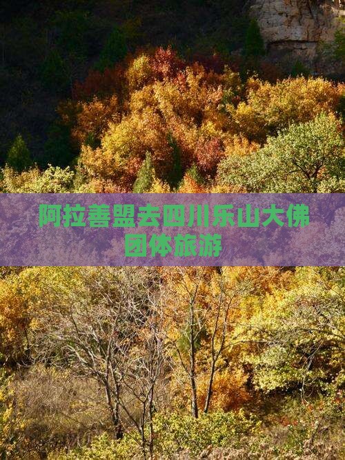 阿拉善盟去四川乐山大佛团体旅游