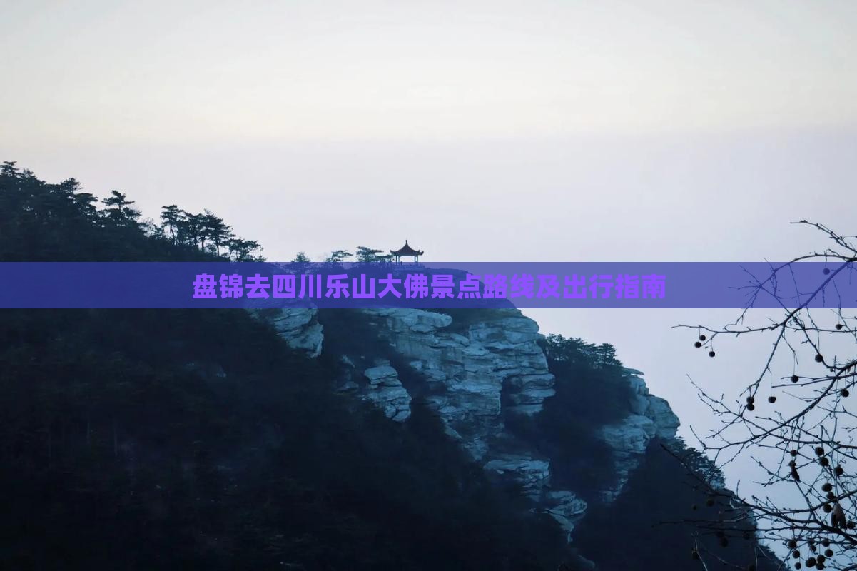 盘锦去四川乐山大佛景点