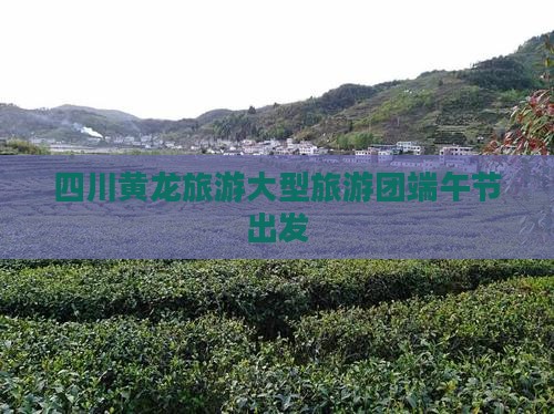 端午节去四川黄龙大型旅游团