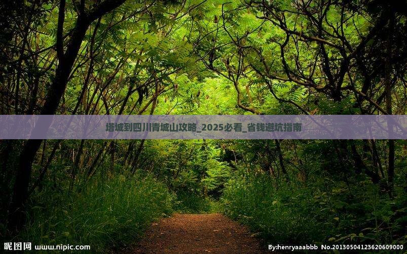 塔城到四川青城山攻略