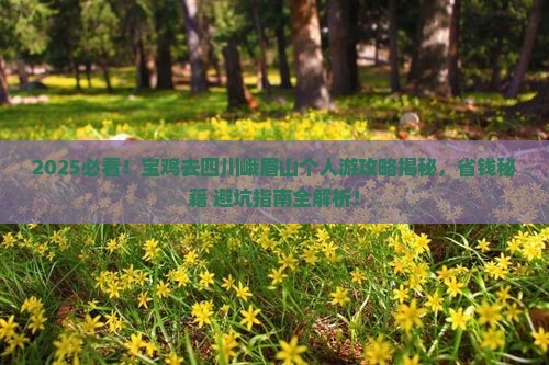 宝鸡去四川峨眉山个人游