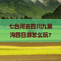 七台河去四川九寨沟四日游