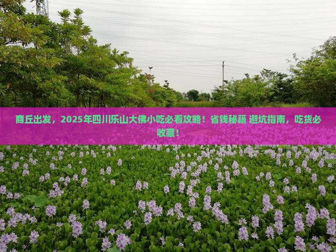 商丘到四川乐山大佛旅游小吃