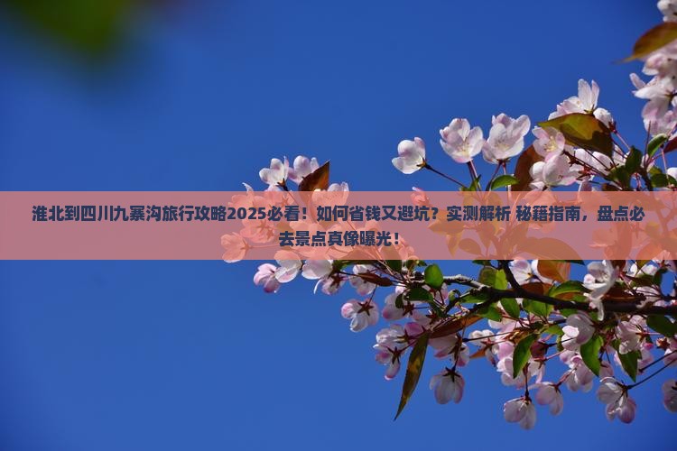 淮北到四川九寨沟旅行社