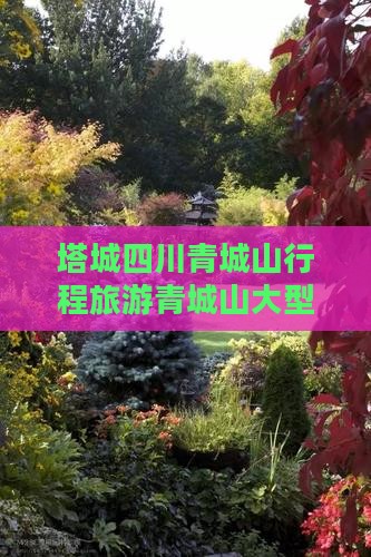 塔城去四川青城山大型旅游团