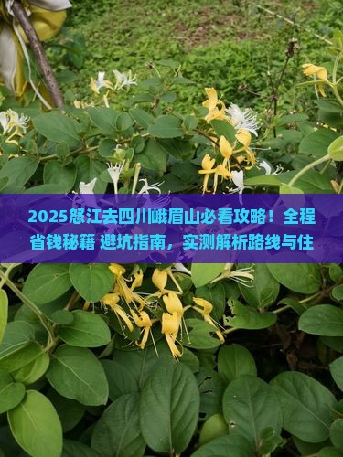 怒江去四川峨眉山攻略