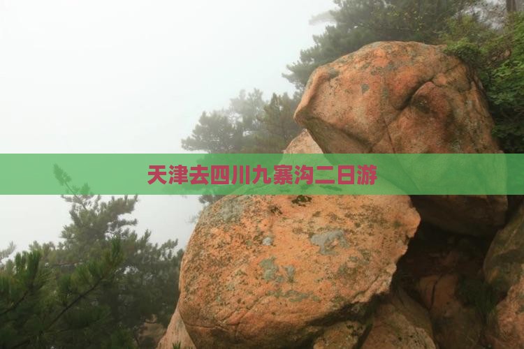 天津去四川九寨沟二日游