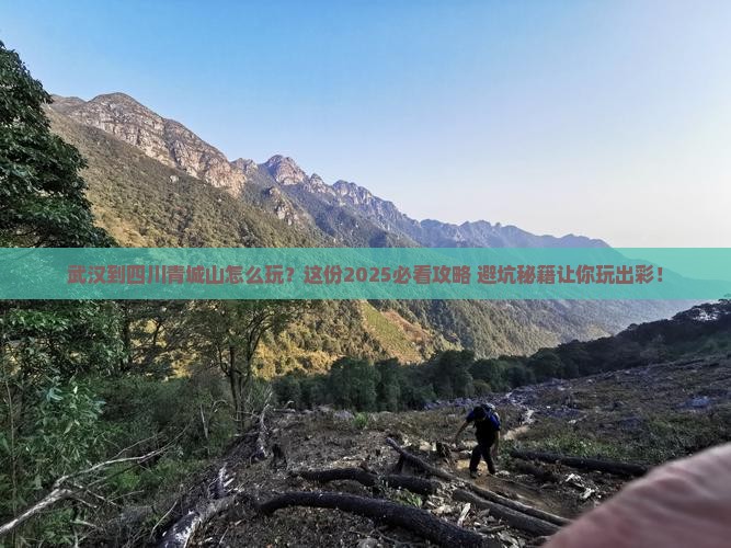 武汉到四川青城山哪里玩