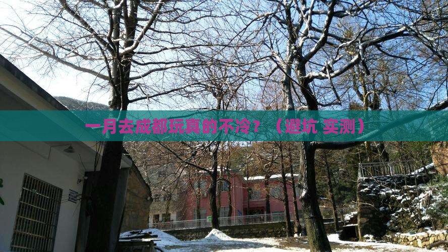一月到四川成都旅游