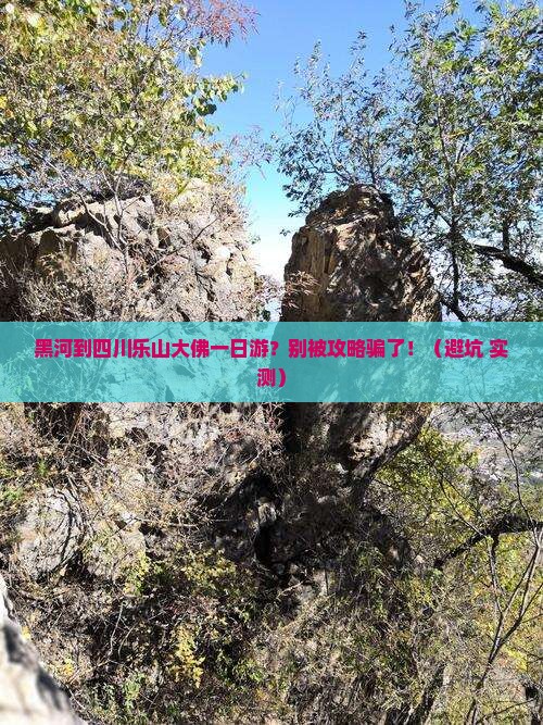 黑河到四川乐山大佛一日