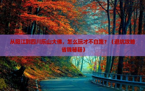 阳江到四川乐山大佛哪里玩