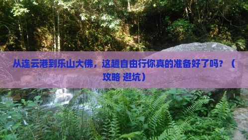 连云港到四川乐山大佛自由行