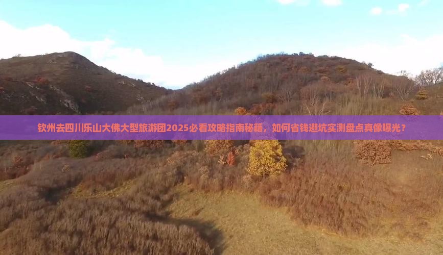 钦州去四川乐山大佛大型旅游团