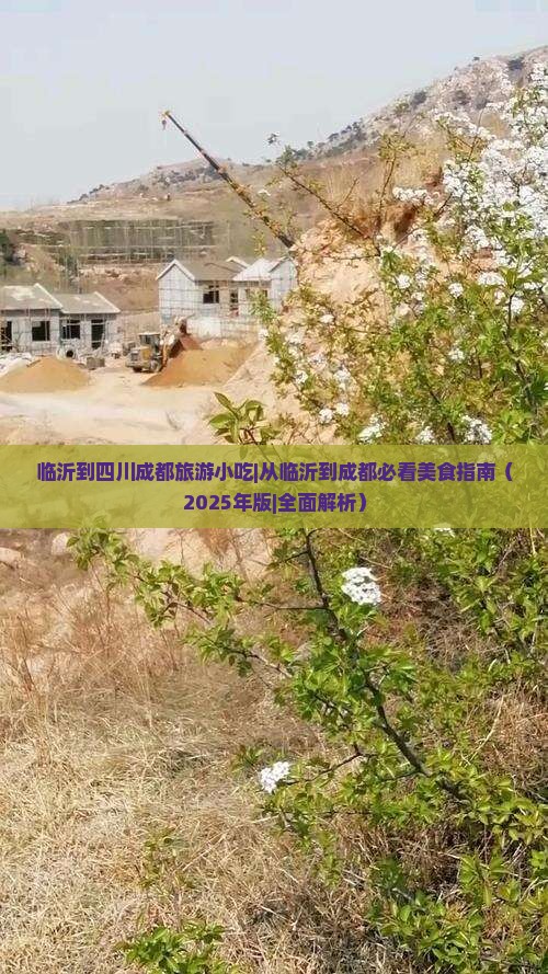 临沂到四川成都旅游小吃