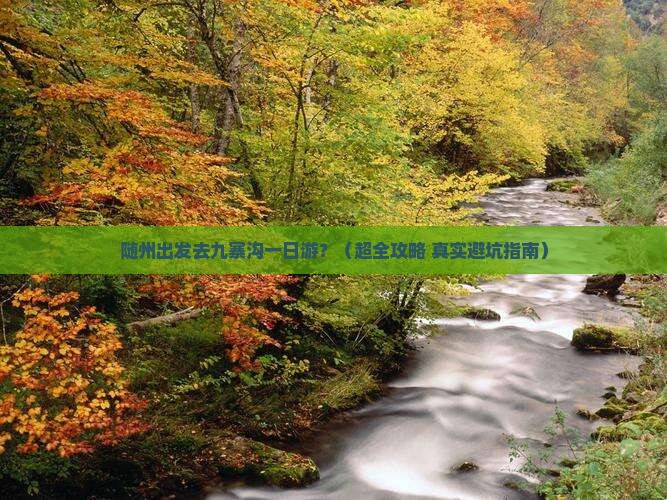 随州到四川九寨沟一日