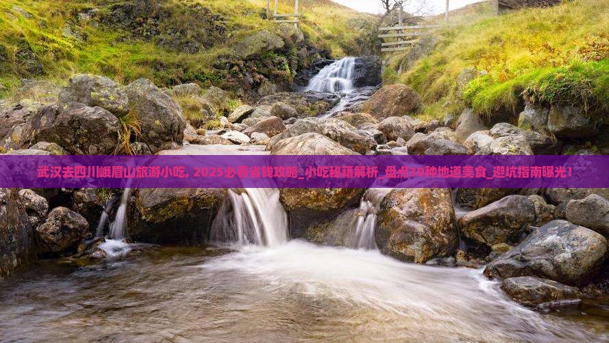 武汉去四川峨眉山旅游小吃
