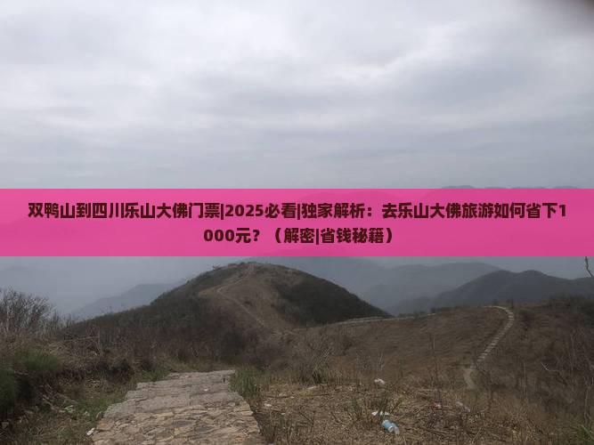 双鸭山到四川乐山大佛门票