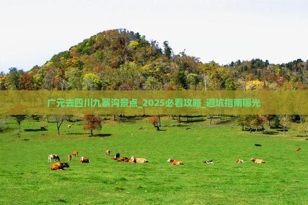 广元去四川九寨沟景点