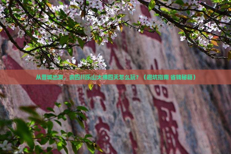 晋城去四川乐山大佛四日游