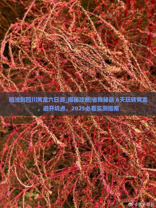 临沧到四川黄龙六日游
