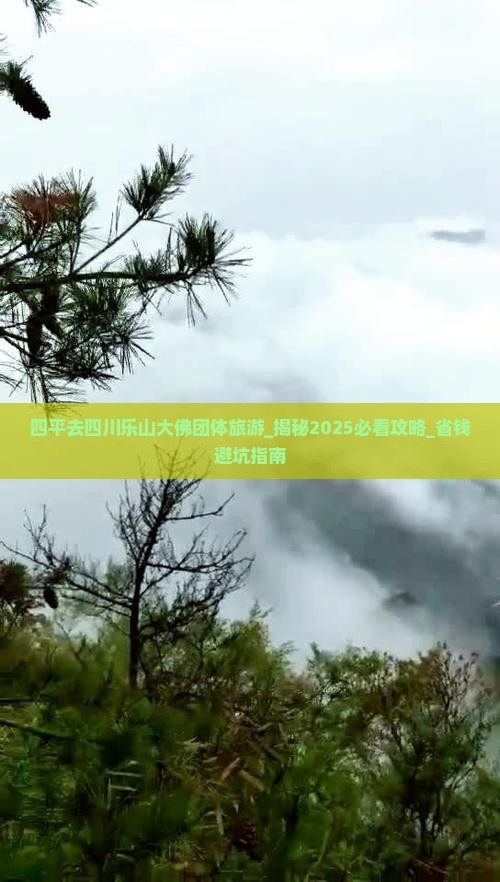 四平去四川乐山大佛团体旅游