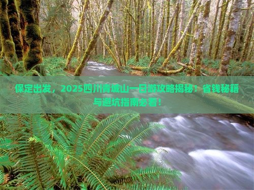 保定去四川青城山一日