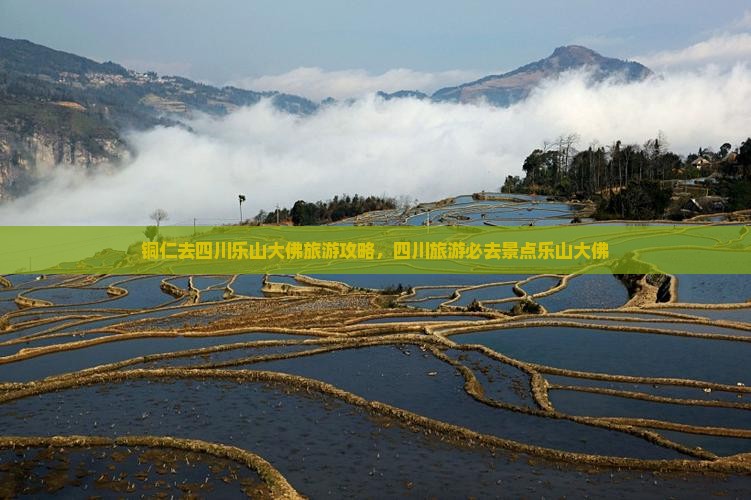 铜仁去四川乐山大佛自由团
