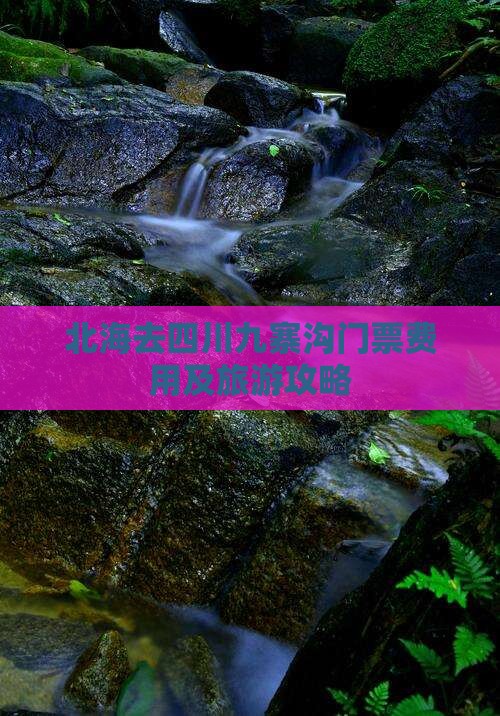 北海去四川九寨沟门票