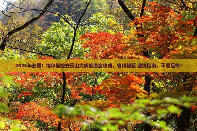 博尔塔拉去四川乐山大佛旅游