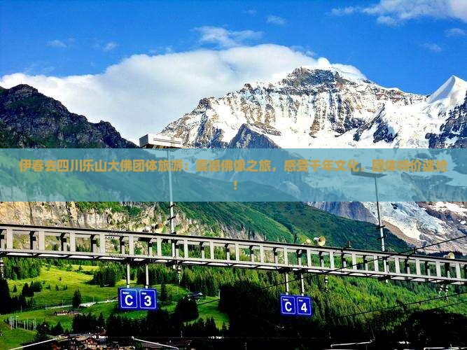 伊春去四川乐山大佛团体旅游