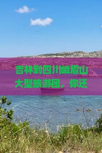 吉林到四川峨眉山大型旅游团
