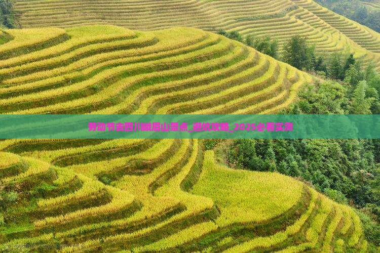 劳动节去四川峨眉山景点