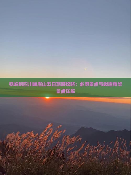铁岭到四川峨眉山五日游