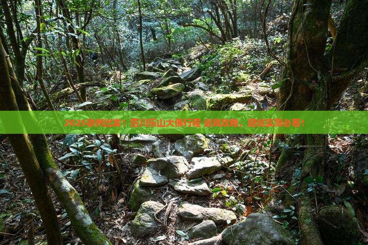徐州到四川乐山大佛必去地