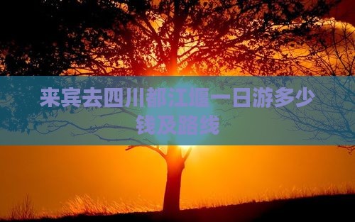 来宾去四川都江堰一日