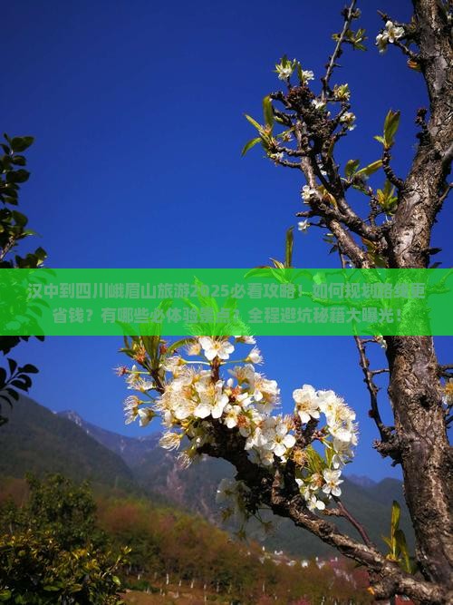 汉中到四川峨眉山旅游