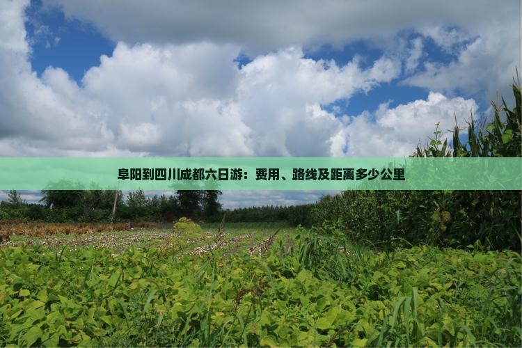 阜阳到四川成都六日游
