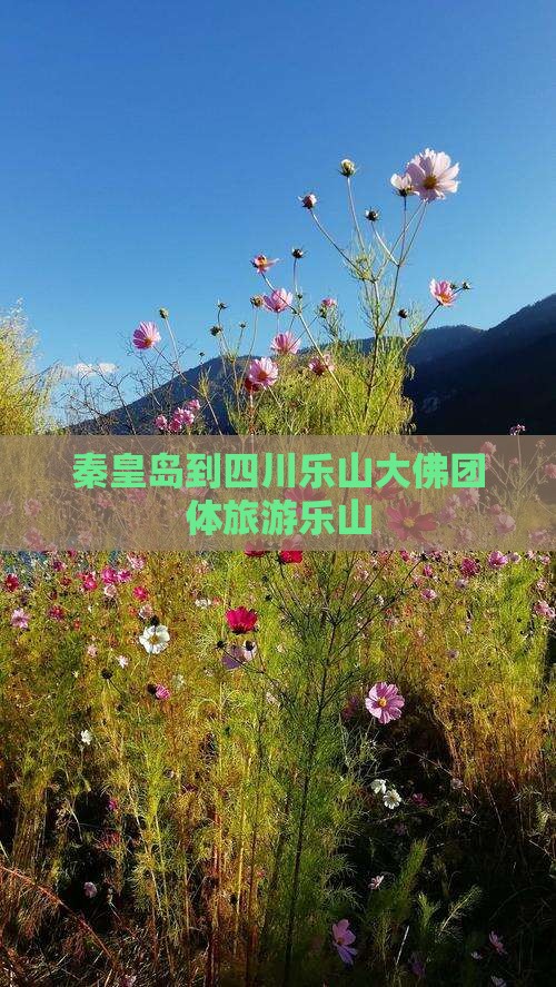 秦皇岛到四川乐山大佛团体旅游