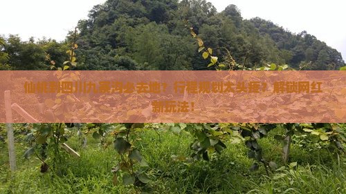 仙桃到四川九寨沟必去地