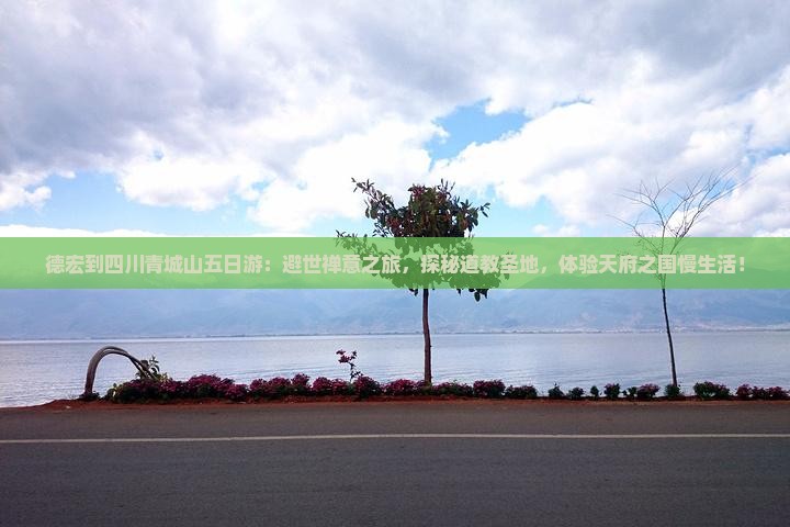 德宏到四川青城山五日游