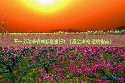 劳动节到四川成都自由团