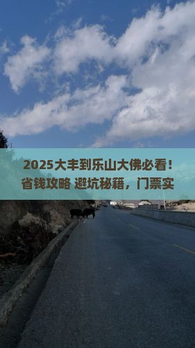 大丰到四川乐山大佛门票